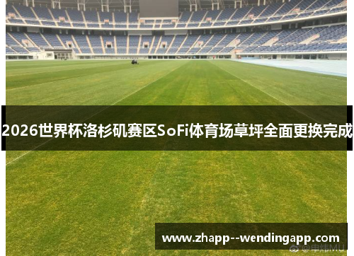 2026世界杯洛杉矶赛区SoFi体育场草坪全面更换完成 2026世界杯洛杉矶赛区SoFi体育场草坪全面更换完成