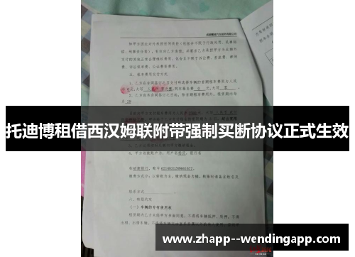 托迪博租借西汉姆联附带强制买断协议正式生效 托迪博租借西汉姆联附带强制买断协议正式生效